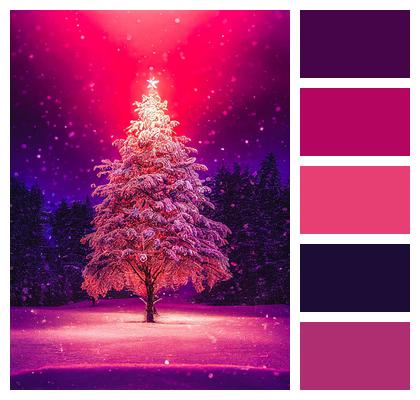 Ai Generated Christmas Tree Pine Tree Image